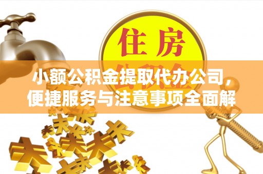 水上小额公积金提取代办公司，便捷服务与注意事项全面解析