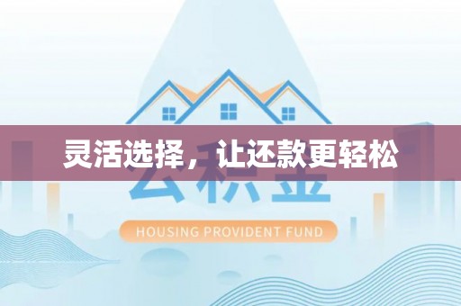 水上灵活选择，让还款更轻松