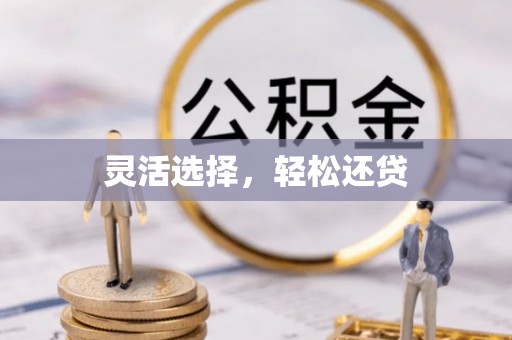 水上灵活选择，轻松还贷